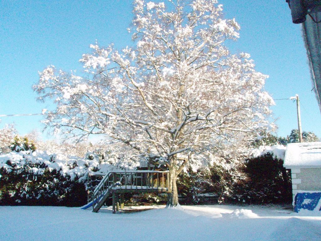 Birchdale House B&B Rathdrum Bagian luar foto