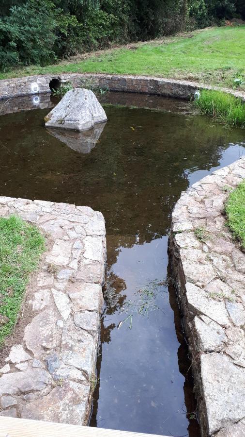 Birchdale House B&B Rathdrum Bagian luar foto